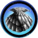 Cowry Cache Cowry Cache