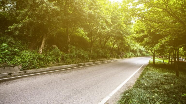 Eco Friendly Driving